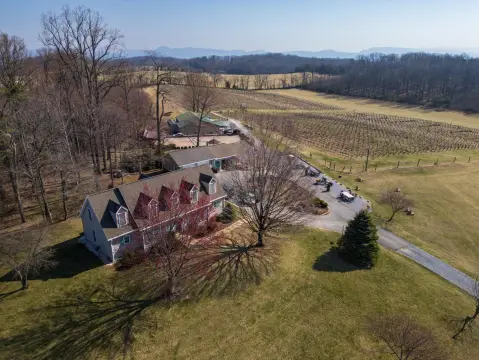 Virginia Mountain Vineyard Opportunity