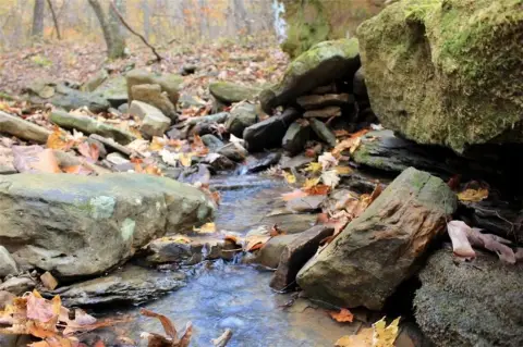 10 Acres Near National Forest