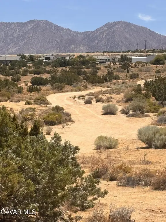 Picture 8