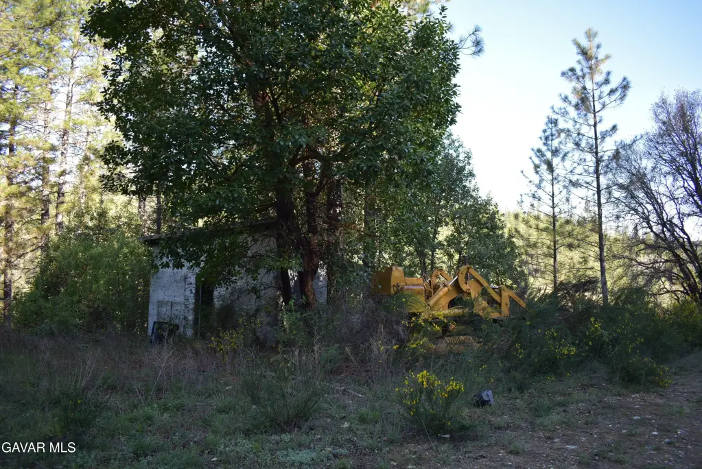 Picture 32