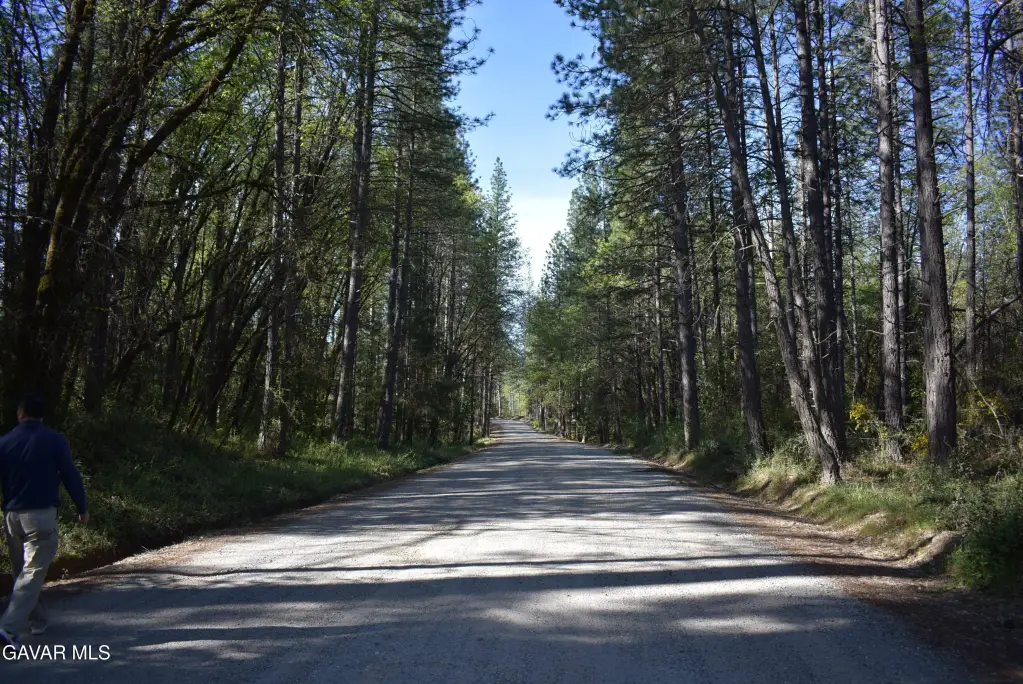 Picture 44