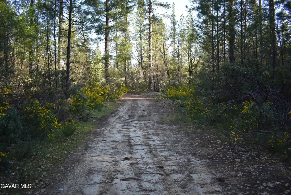 Picture 10