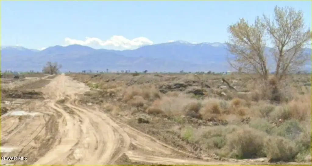 Picture 19
