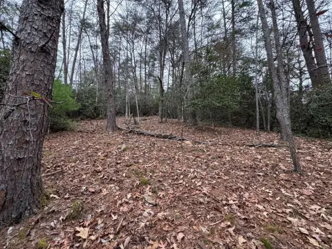 Wooded Lot Near Amenities