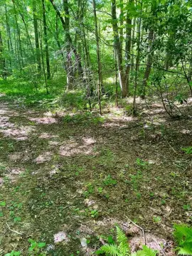 ROBBINSVILLE, NC Land Parcel