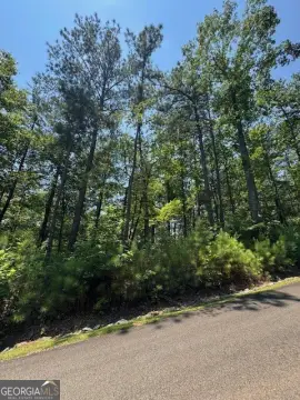 Residential Lot Near Carter's Lake