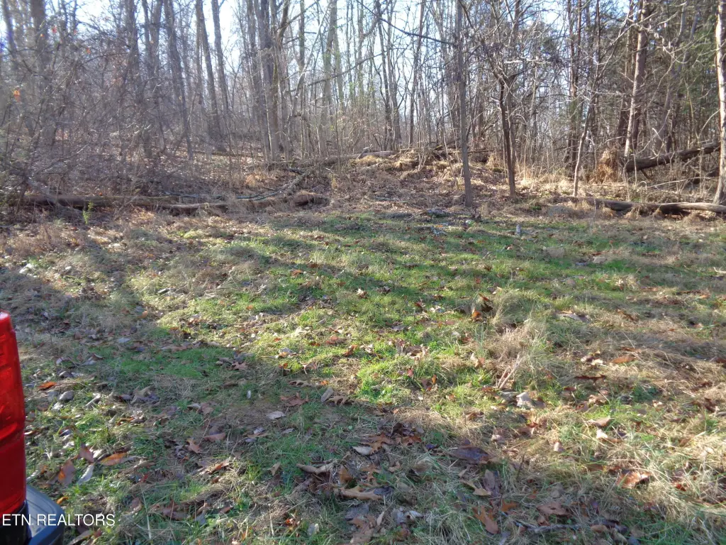 Picture 8