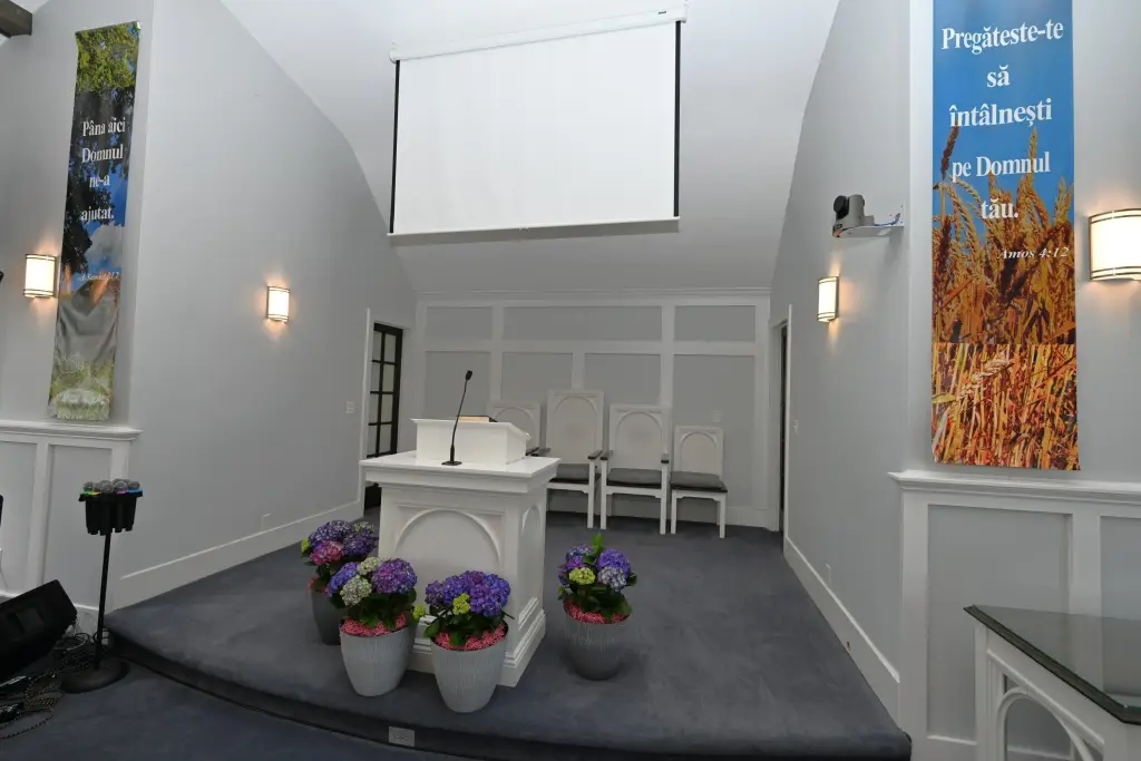 Picture 11