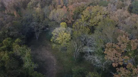 Secluded Acreage Near Downtown