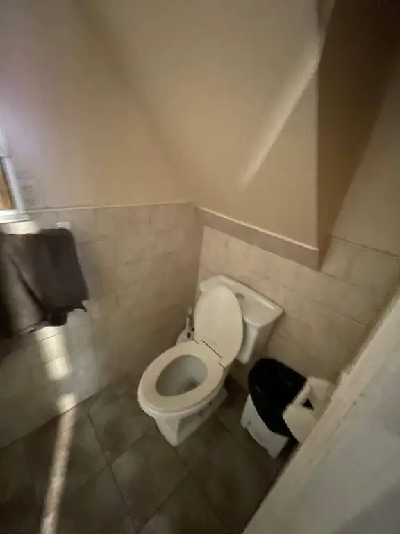Picture 7