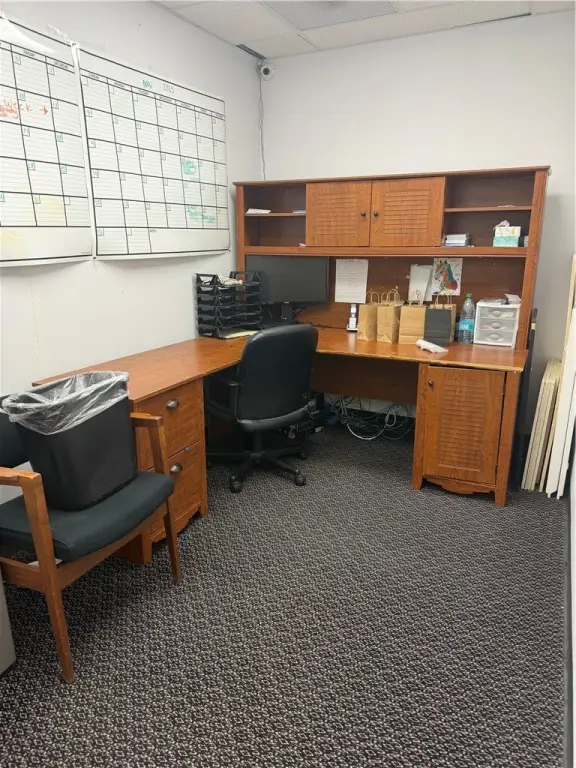 Picture 5