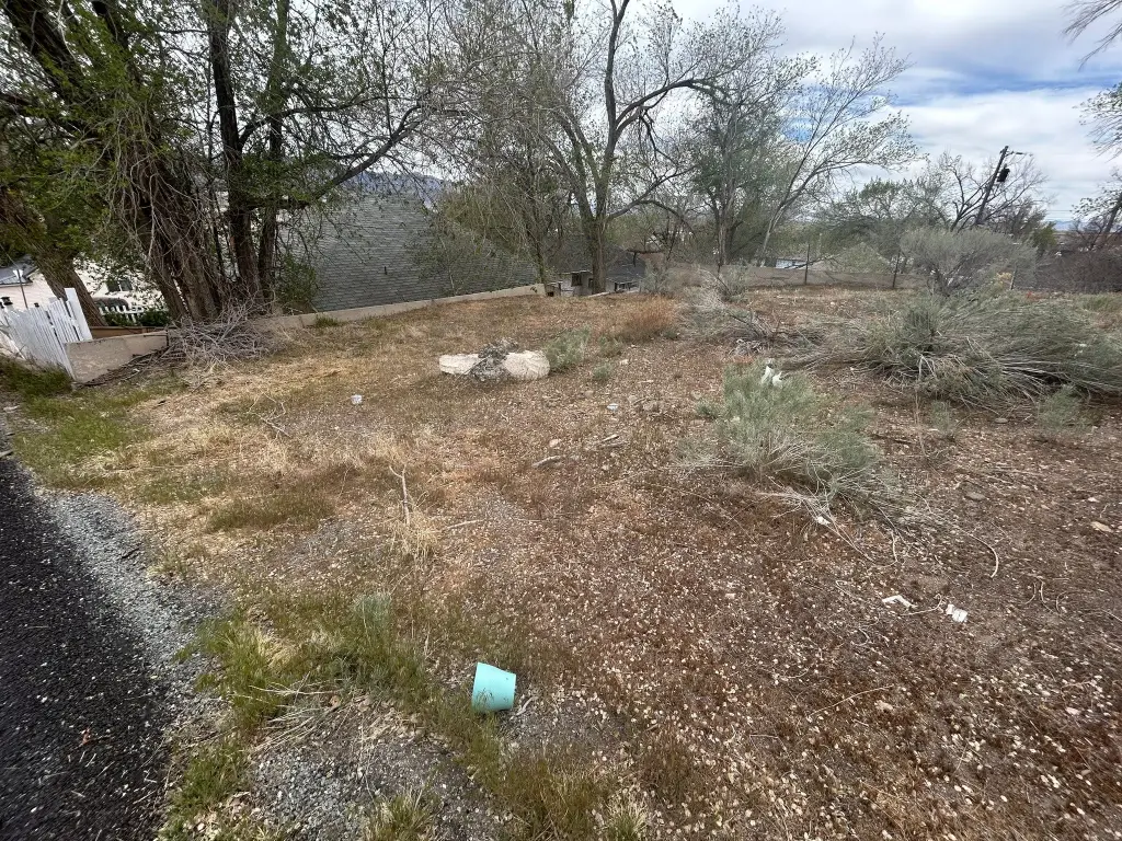 Picture 5