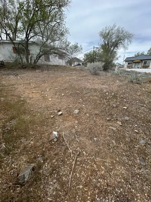 Picture 6