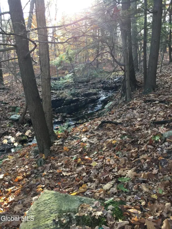 Picture 25