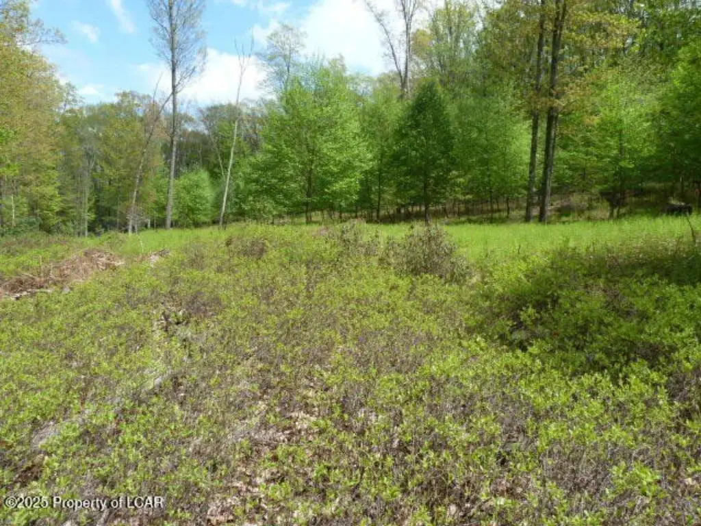 Picture 11