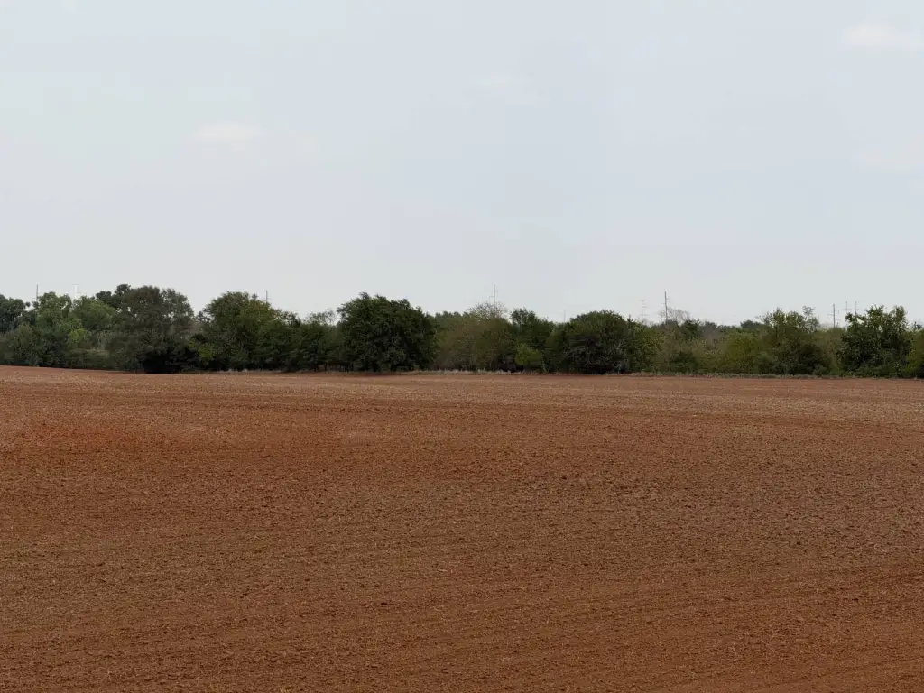Picture 8