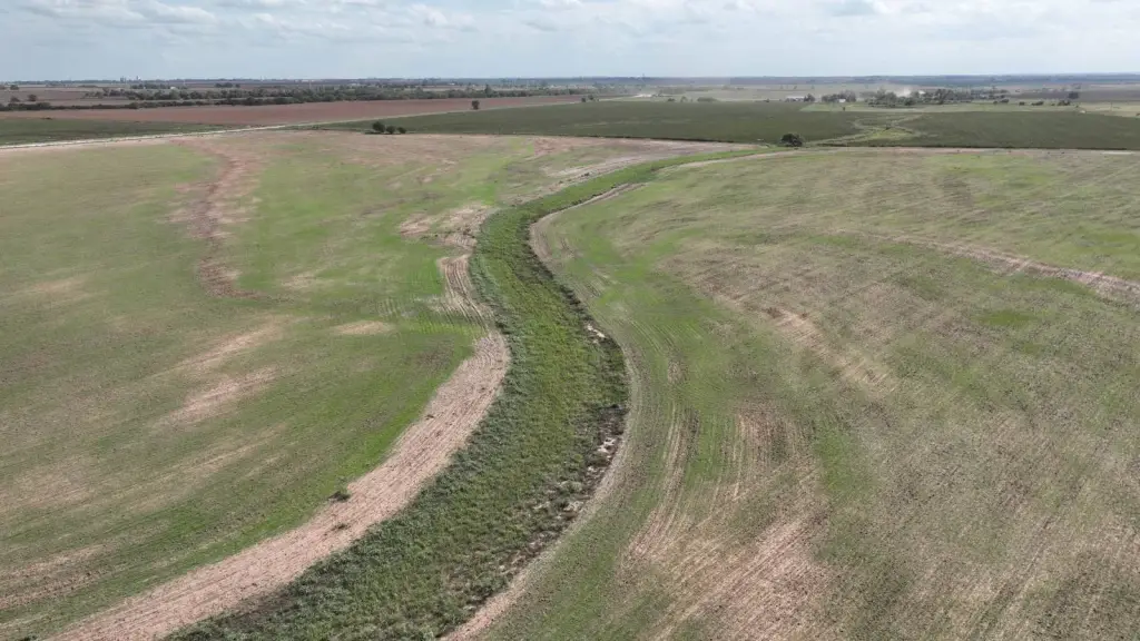 Picture 3