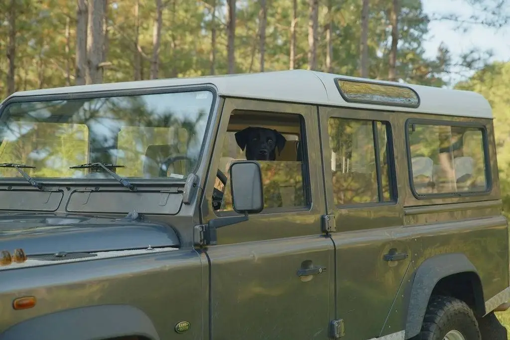 Picture 2