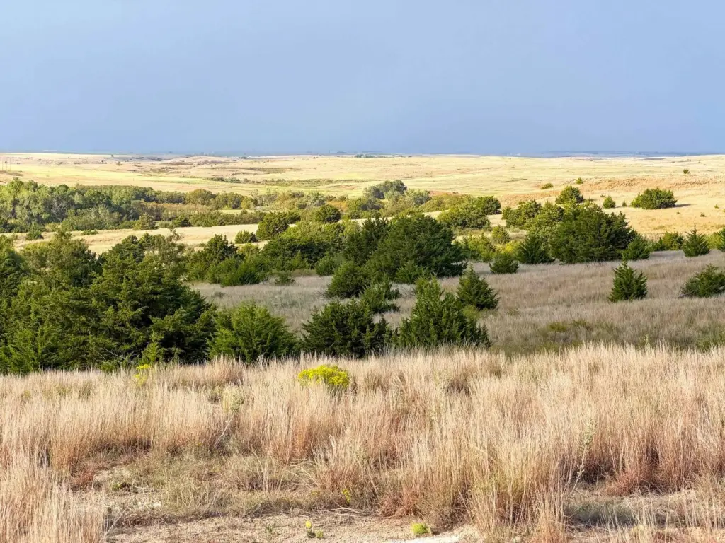 Picture 30