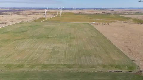 100 Acres Cultivation Land Olney