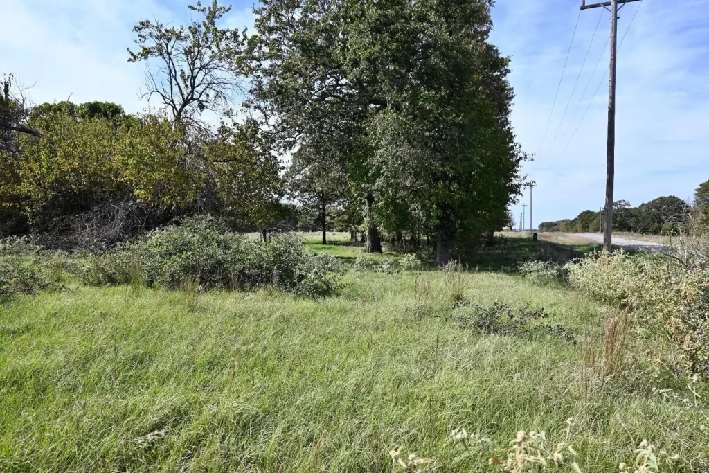 Picture 5