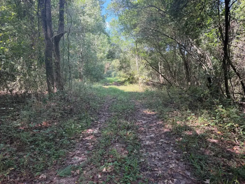 Picture 18