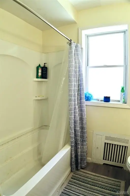 Picture 19