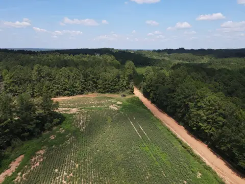 Farmland and Timber Tract
