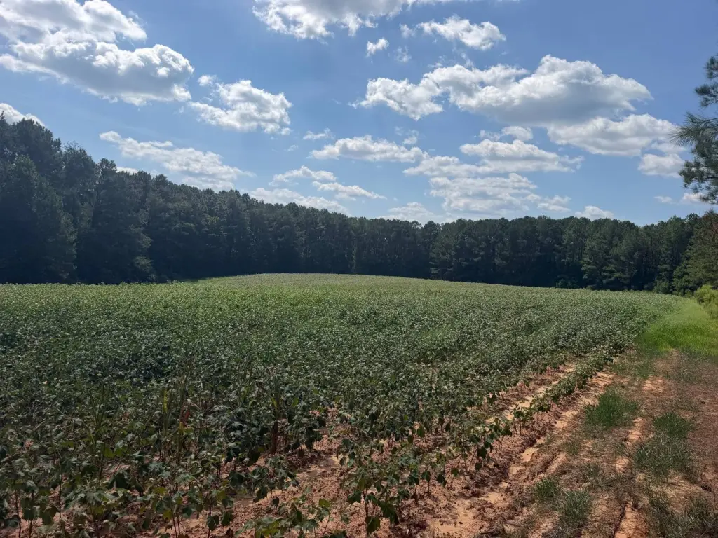 Picture 13