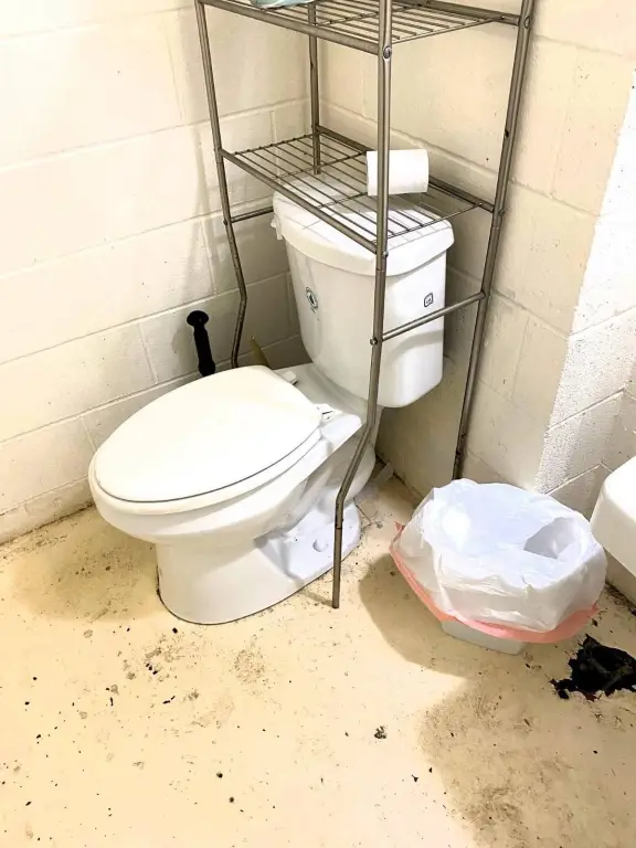 Picture 16