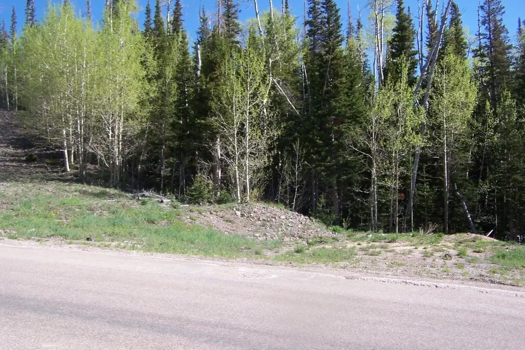 Picture 5