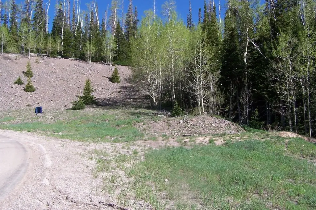 Picture 4