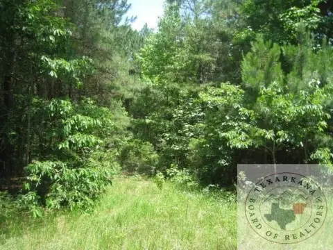 Queen City Land For Sale