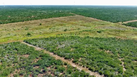 Ranch Tract with Hunting Habitat