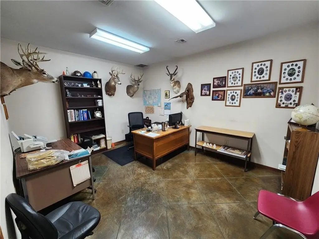 Picture 19