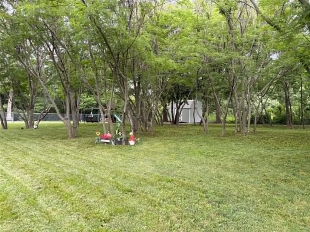 Picture 15