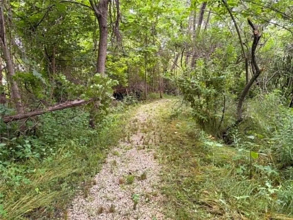 Picture 10