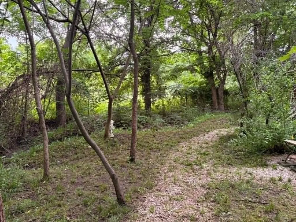 Picture 11