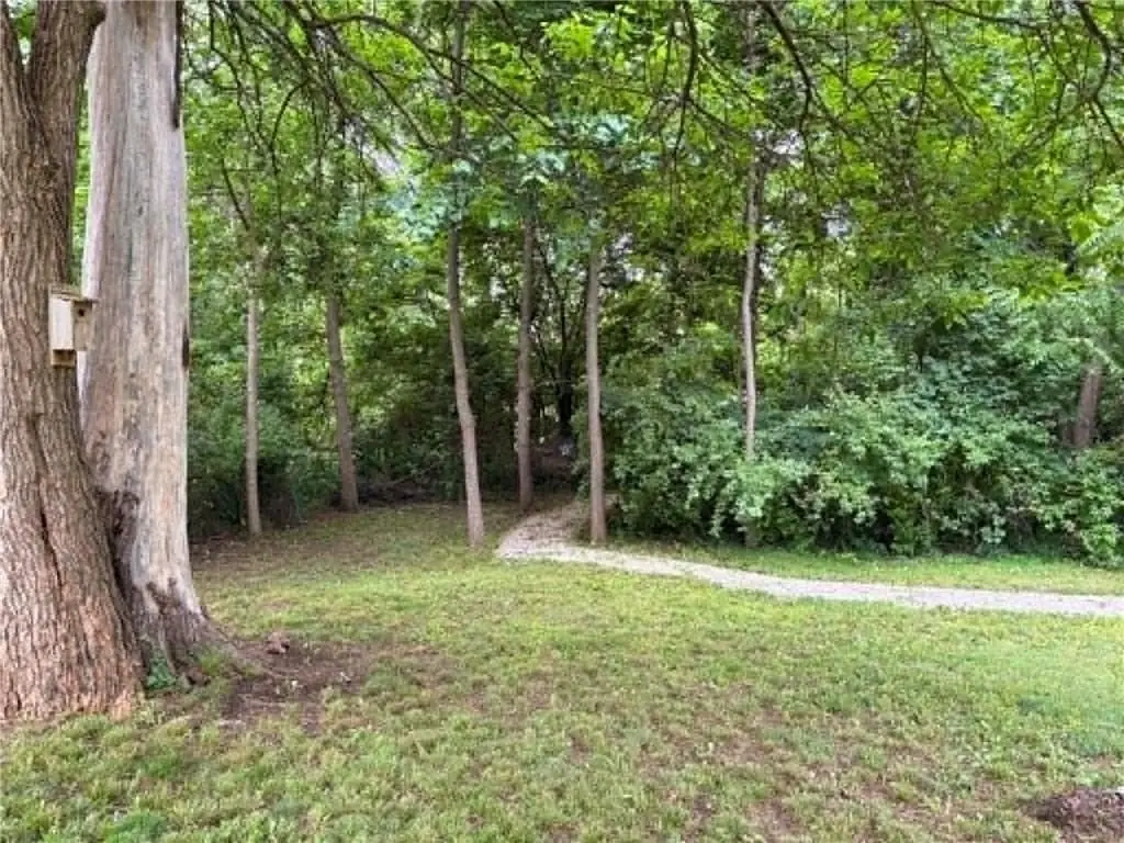 Picture 9