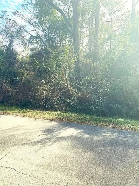 Picture 2