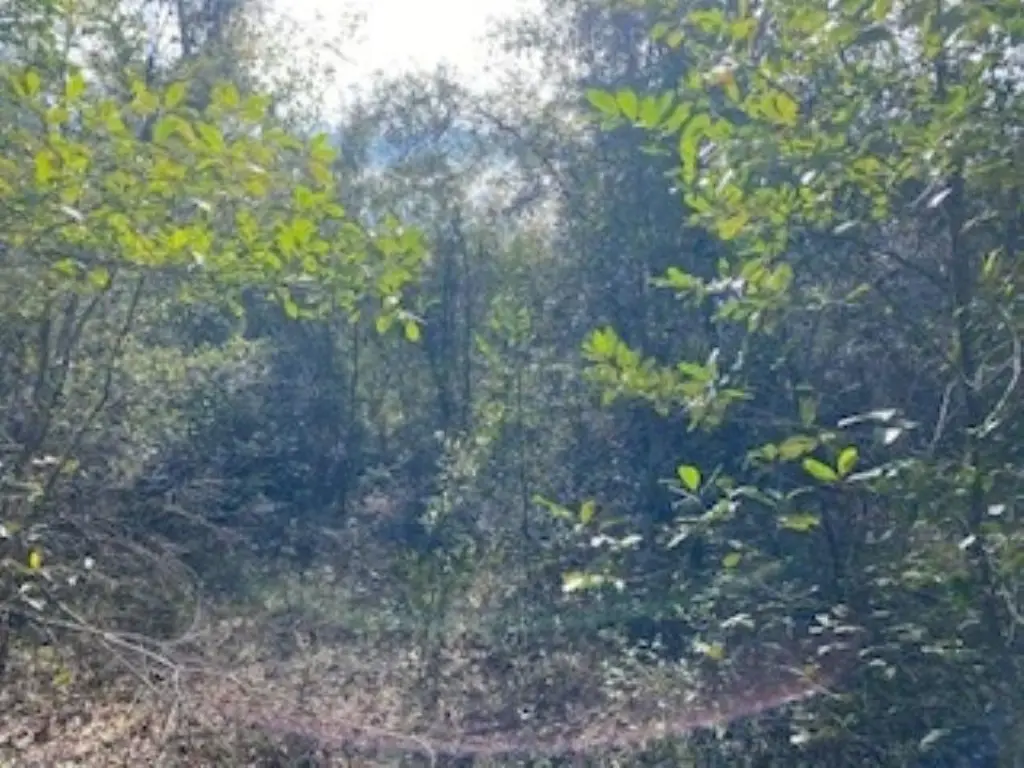 Picture 2