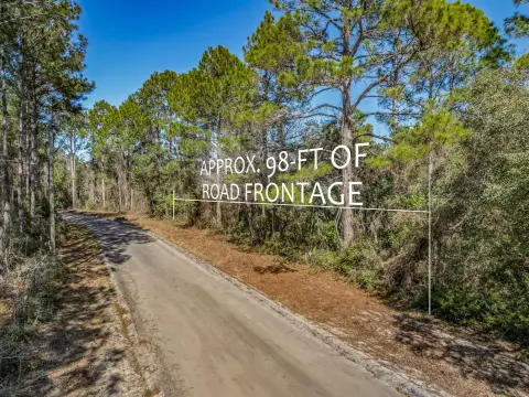 Wooded Lot Near Panacea