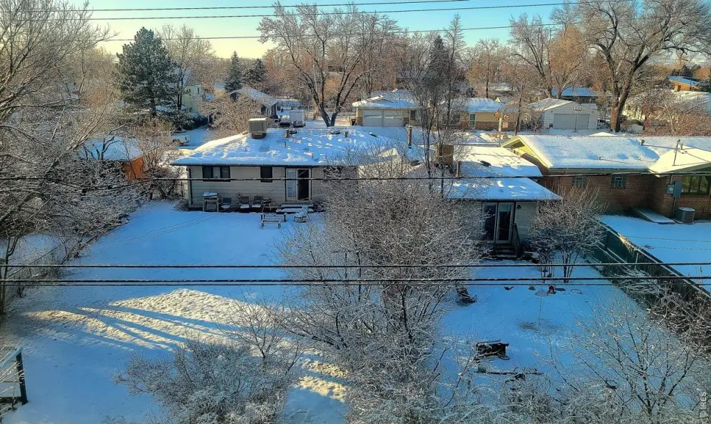 Picture 4