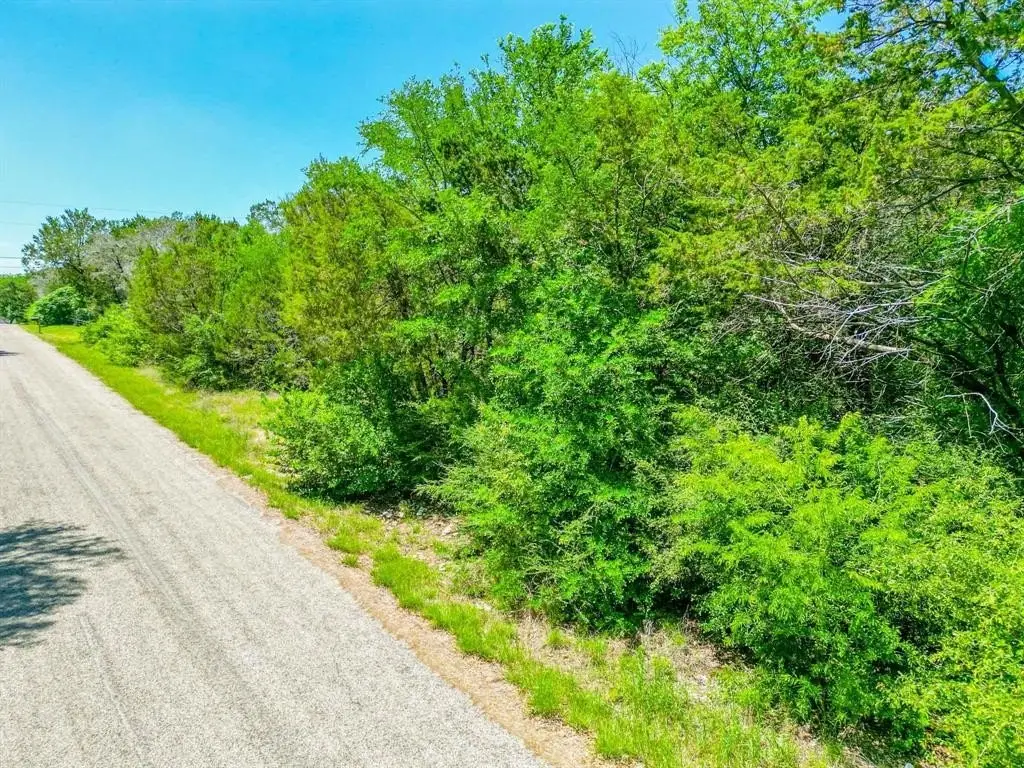Picture 7