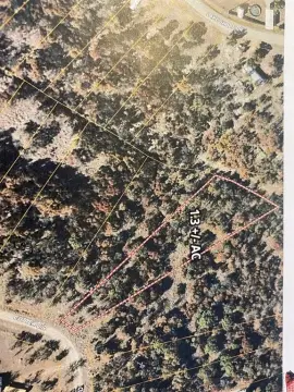 Raw Land in May, TX