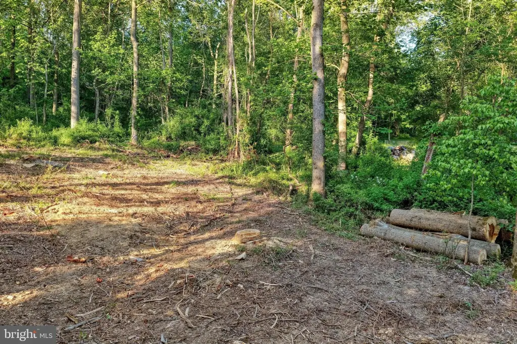 Picture 23