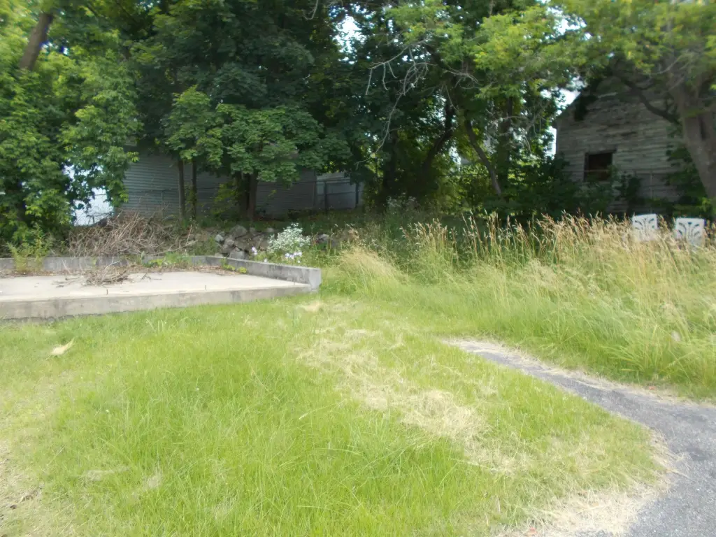 Picture 21