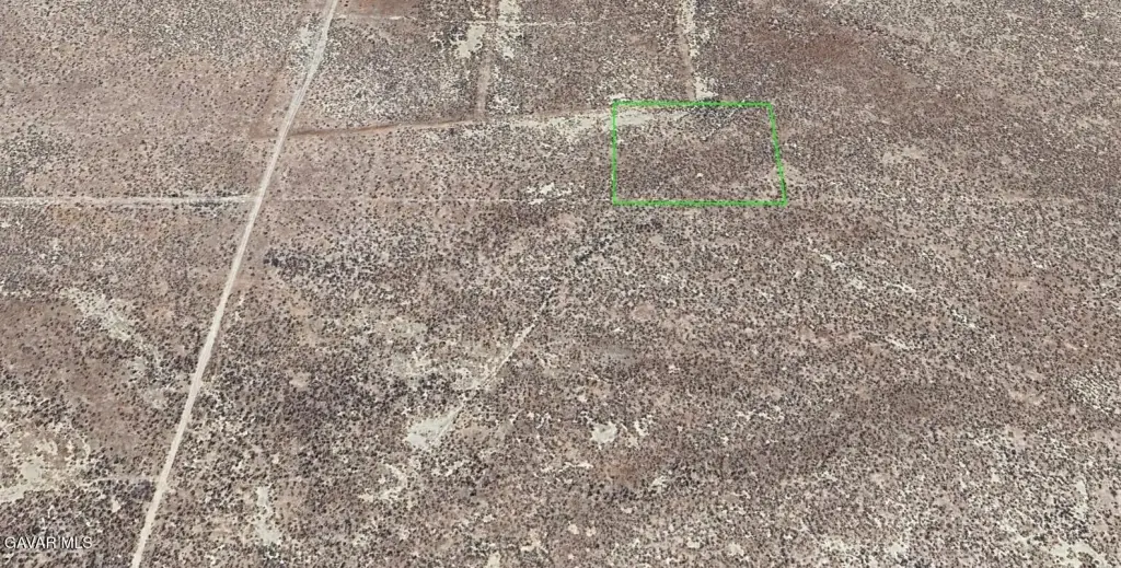 Picture 10