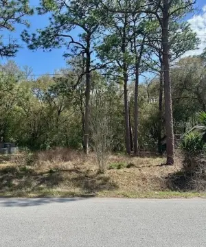 Residential Lot in Belleview, FL