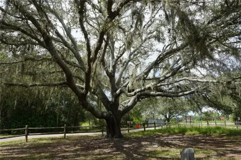 Land in Vibrant Pinellas Park